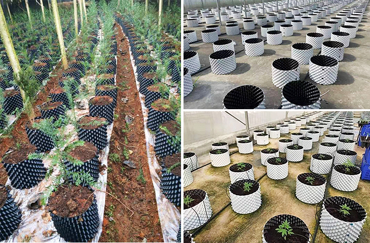 B类控根详情页（远凯_11