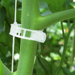 Garden Plant Support Clips Tomato Clips