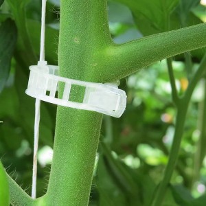 Garden Plant Support Clips Tomato Clips