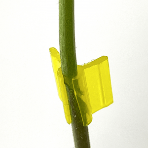 Plant Grafting Clips For Tomato Grafting