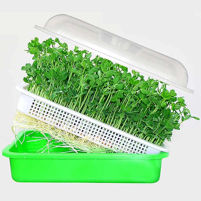 Seed Sprouter Tray With Lid Hydroponic Germination Tray