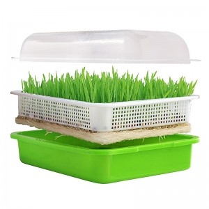 Seed Sprouter Tray With Lid Hydroponic Germination Tray