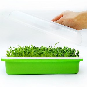 Seed Sprouter Tray With Lid Hydroponic Germination Tray