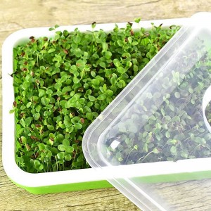 Seed Sprouter Tray With Lid Hydroponic Germination Tray