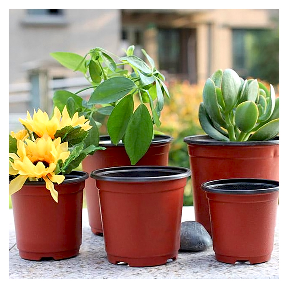 How To Choice A Suitable Nursery Pot?