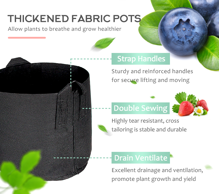 grow bag （2）