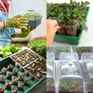 Garden Nursery Seed Starter Tray Kit Seedling Tray with Dome