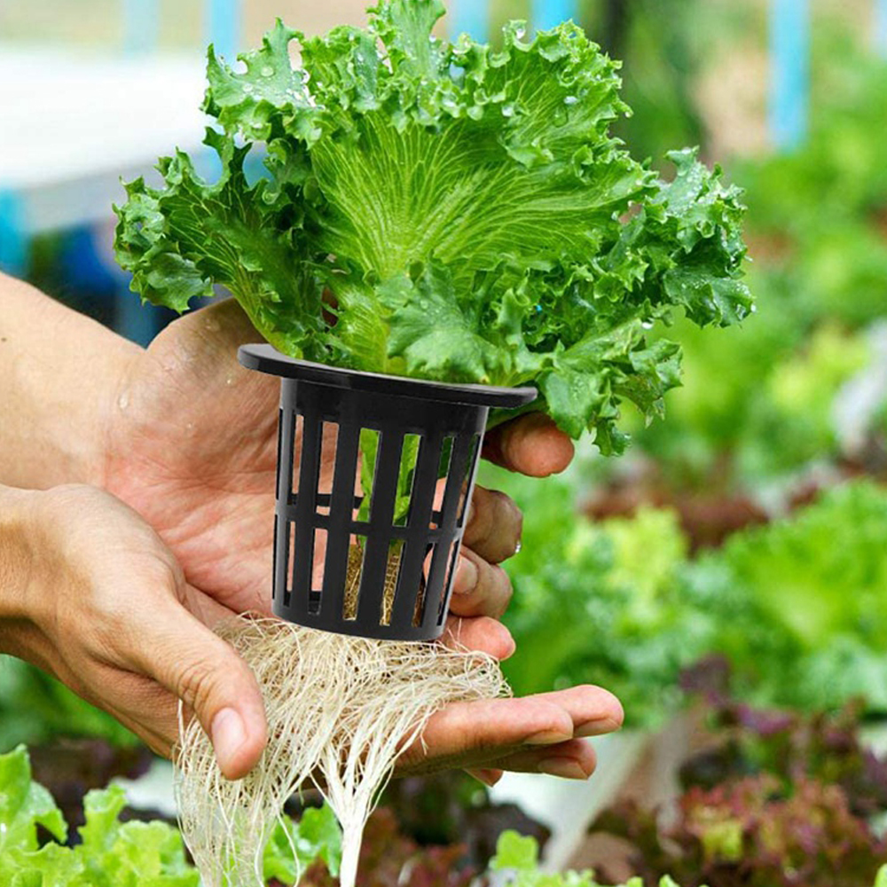 How to Use Hydroponic Net Pot