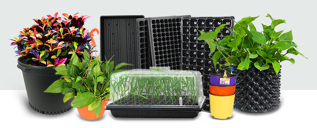 Professional Garden Seedling Containers Suppliers