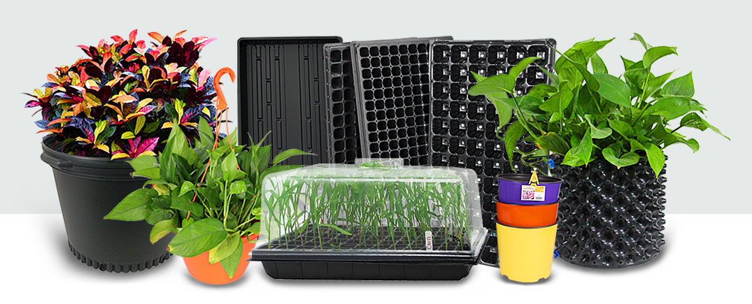 Perfect match: seed trays & nursery pots