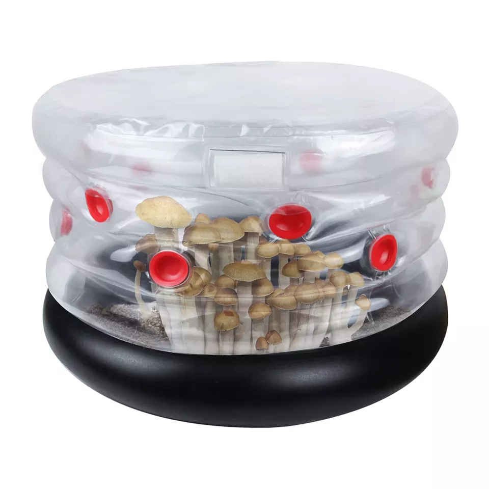 Inflatable Mushroom Grow Kit