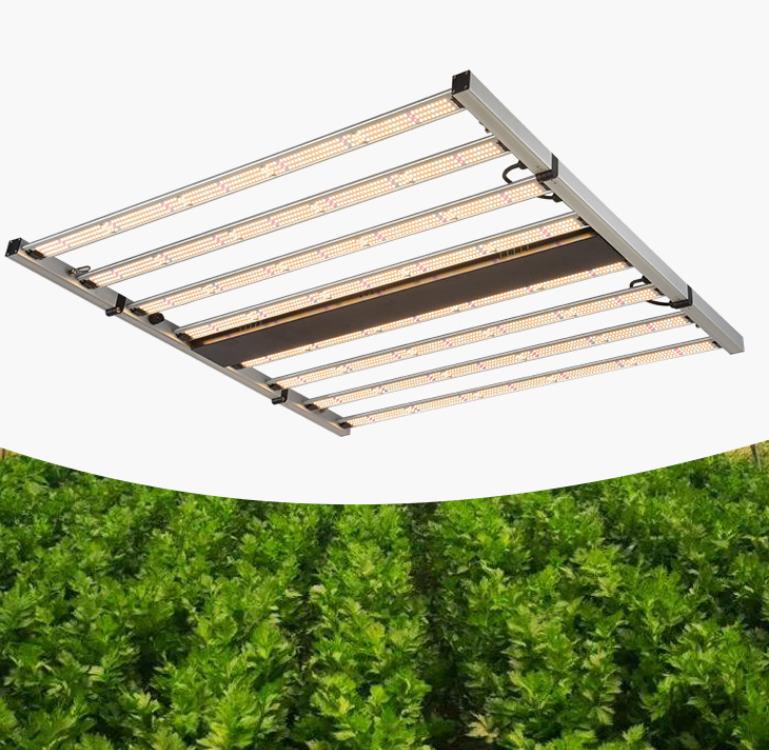 Importance of Plant Grow Lights in Plant Cultivation