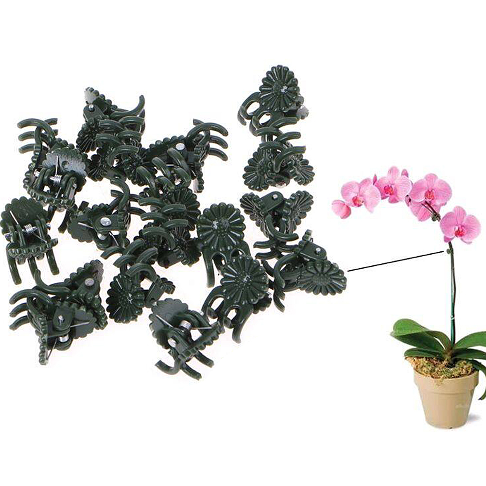 Perfect plant support clip orchid clip